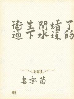 卫生间堵了了找通下水道的人