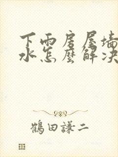 下雨房屋墙体渗水怎么解决