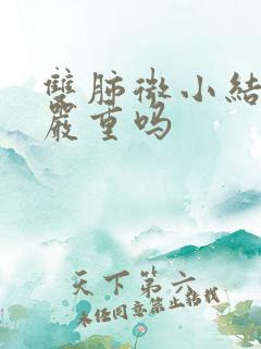 双肺微小结节影严重吗