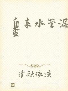 自来水管漏水检查