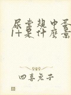 尿常规中蛋白质1+是什么意思