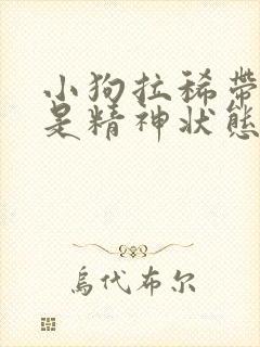 小狗拉稀带血但是精神状态很好