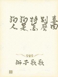 狗狗特别喜欢舔人是怎么回事