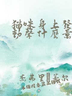 猫咪身上发出震动声什么意思