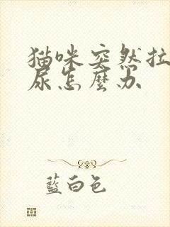 猫咪突然拉不出尿怎么办