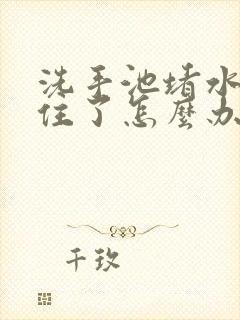 洗手池堵水的卡住了怎么办