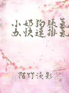 小奶狗胀气怎么办快速排气