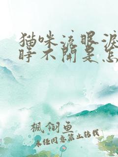 猫咪流眼泪眼睛睁不开是怎么回事