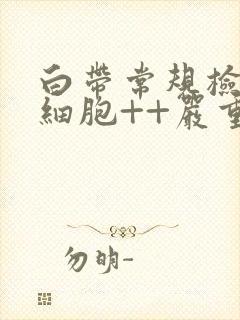 白带常规检查白细胞++严重吗