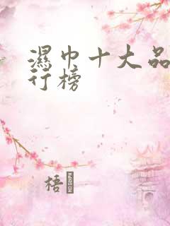 湿巾十大品牌排行榜