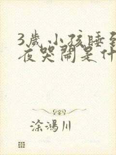 3岁小孩睡到半夜哭闹是什么原因