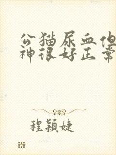 公猫尿血但是精神很好正常吃东西