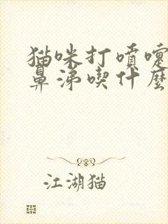 猫咪打喷嚏有浓鼻涕吃什么药