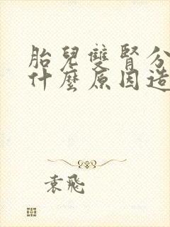 胎儿双肾分离是什么原因造成的