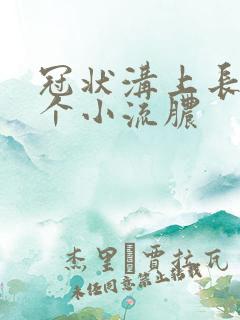 冠状沟上长了几个小流脓