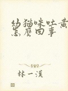 幼猫咪吐黄水是怎么回事