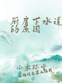 厨房下水道反味的原因