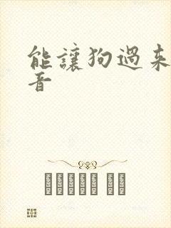 能让狗过来的声音