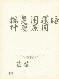 总是困还睡不着什么原因