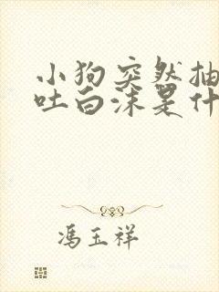 小狗突然抽搐口吐白沫是什么原因