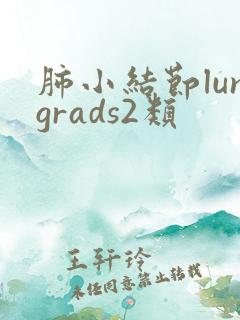 肺小结节lungrads2类