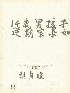 14岁男孩子叛逆期家长如何管教