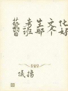 艺考生文化课补习班哪个好