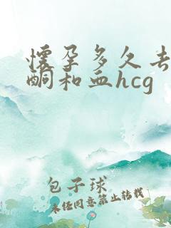 怀孕多久去测孕酮和血hcg