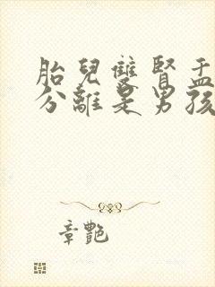 胎儿双肾盂未见分离是男孩还是女孩