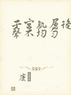 子宫肌层后壁回声不均匀