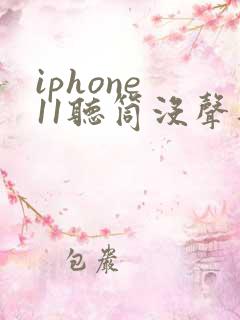 iphone 11听筒没声音