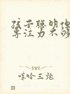 孩子聪明但好动专注力不够