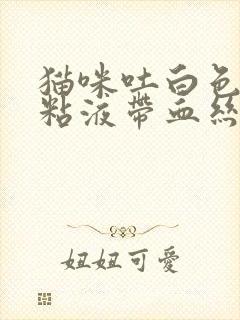 猫咪吐白色透明粘液带血丝