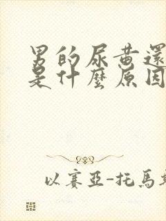 男的尿黄还起沫是什么原因