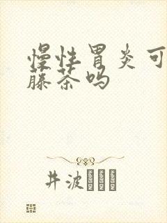 慢性胃炎可以喝藤茶吗