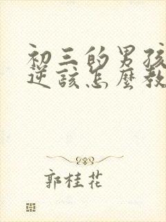 初三的男孩子叛逆该怎么教育呢?