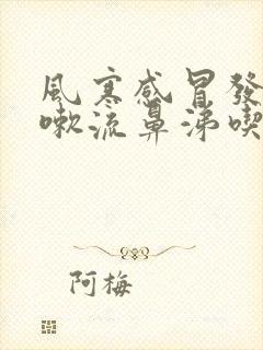 风寒感冒发烧咳嗽流鼻涕吃什么药