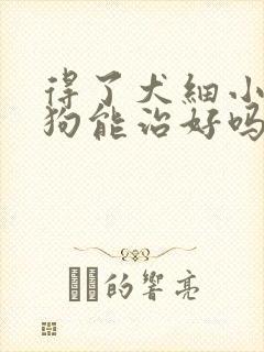 得了犬细小的狗狗能治好吗