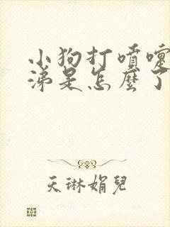 小狗打喷嚏流鼻涕是怎么了