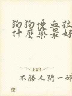 狗狗便血拉稀吃什么药最好