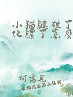 小猫腿破了发炎化脓了怎么办