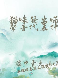 猫咪发出喵呜的声音代表什么