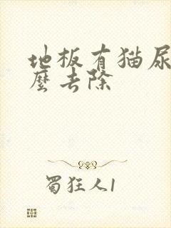 地板有猫尿味怎么去除