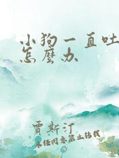 小狗一直吐白沫怎么办