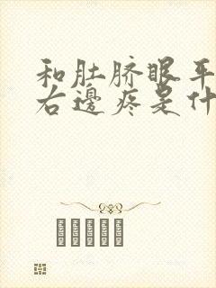 和肚脐眼平行的右边疼是什么器官