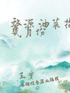 婺源 油菜花 几月份