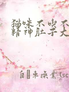 猫咪不吃不喝没精神肚子大