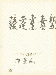 孩子青春期出现叛逆怎么办