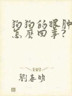 狗狗的眼肿了是怎么回事?