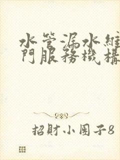 水管漏水维修上门服务机构